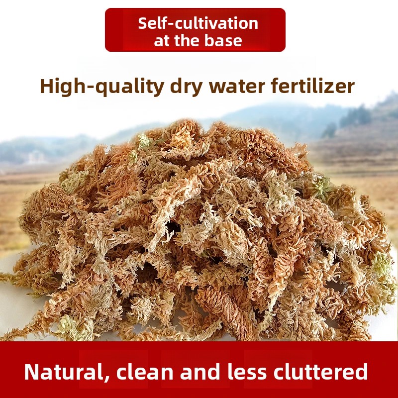 Grade A Dried Sphagnum Moss, N - Preserved Moss Sheet recension och pris