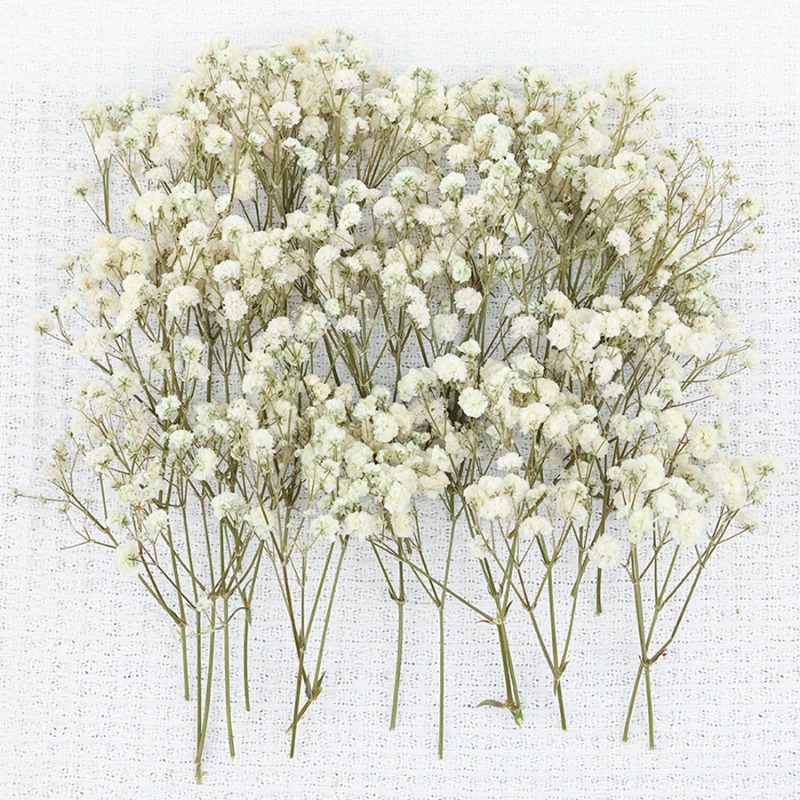 50pcs Natural Dried Gypsophila - Florist Supply Vases recension och pris