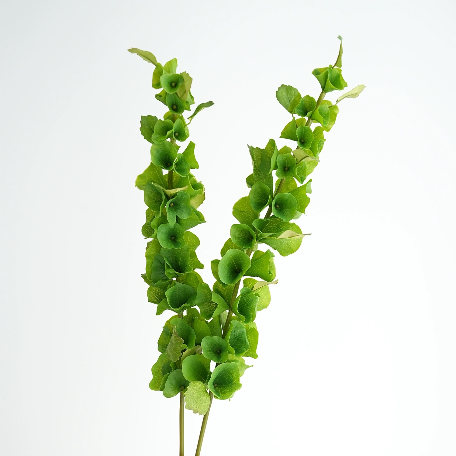 2 pcs Green Artificial Shell F - Florist Supply Bulk recension och pris
